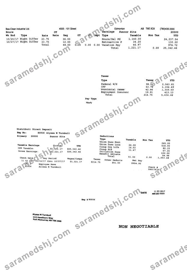 Bee Clean Industrial Ltd. PayStub